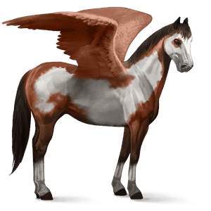 pegasus-reitpferd paint horse fuchs mit tobiano-scheckung