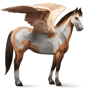 pegasus-reitpferd brauner