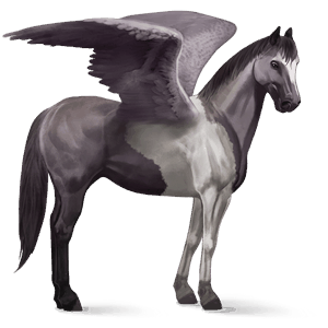 pegasus-pony deutsches reitpony brauner