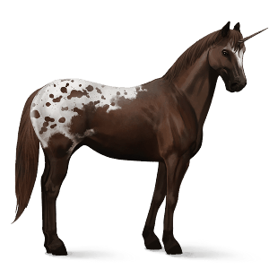 einhorn-reitpferd paint horse brauner mit tovero-scheckung 
