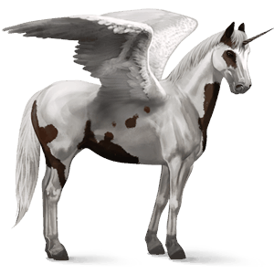 geflügeltes einhorn-reitpferd dunkelfuchs mit tovero-scheckung