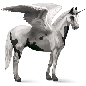 geflügeltes einhorn-reitpferd deutsches reitpferd apfelschimmel
