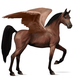 pegasus-reitpferd argentinischer criollo brauner