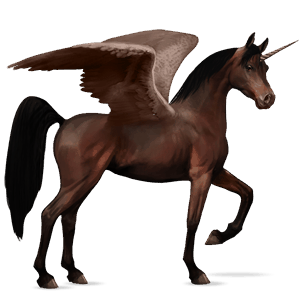 geflügeltes einhorn-reitpferd araber dunkelbrauner