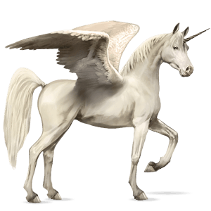geflügeltes einhorn-reitpferd apfelschimmel