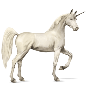 einhorn-reitpferd araber fuchs