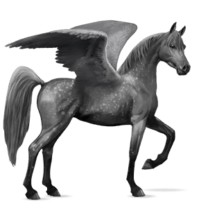 pegasus-reitpferd holsteiner dunkelfuchs