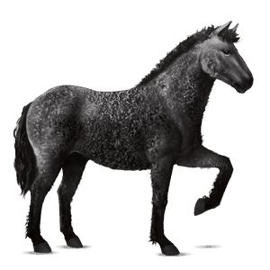 reitpferd mustang apfelschimmel