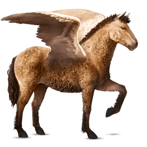 pegasus-reitpferd argentinischer criollo fuchs