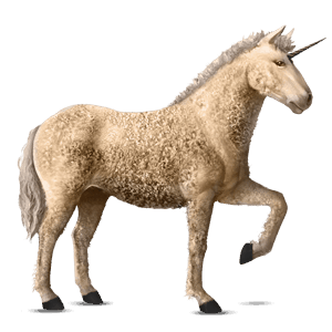 einhorn-reitpferd curly horse palomino
