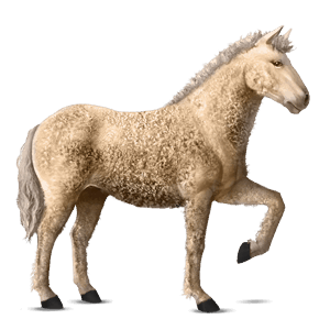 reitpferd falbe