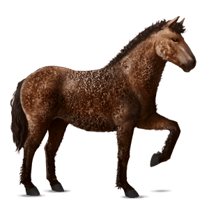 reitpferd brauner