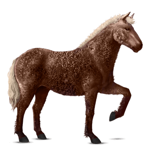 reitpferd englisches vollblut dunkelfuchs