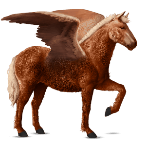 pegasus-reitpferd curly horse fuchs mit heller mähne