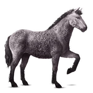 reitpferd curly horse fuchs