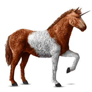 einhorn-reitpferd apfelschimmel
