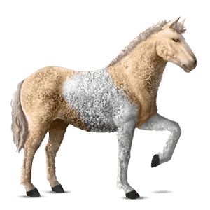reitpferd isländer fuchs