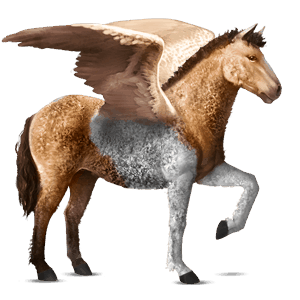 pegasus-reitpferd curly horse falbe mit tobiano-scheckung