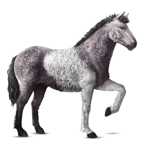 reitpferd andalusier dunkelfuchs mit heller mähne