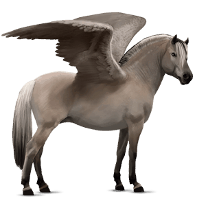 pegasus-pony norweger braunfalben