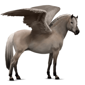 pegasus-pony kerry bog fuchs