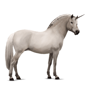 einhorn-pony braunfalben