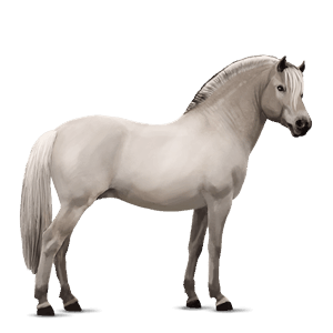 pony dunkelfuchs mit heller mähne