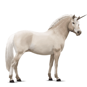 einhorn-pony norweger gelbfalben
