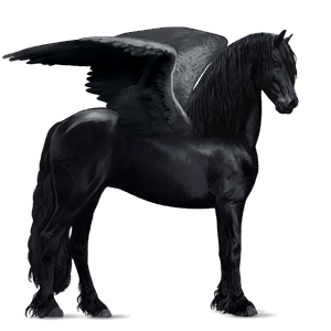 pegasus-reitpferd don-pferd hellgrau