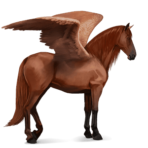 pegasus-reitpferd selle français fuchs
