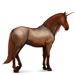 einhorn-reitpferd brauner