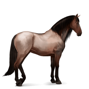 reitpferd morgan roan
