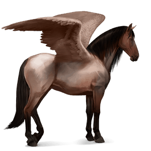 pegasus-reitpferd lusitano rotbrauner