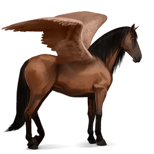 pegasus-reitpferd brauner