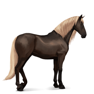 reitpferd argentinischer criollo dunkelfuchs mit heller mähne