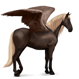 pegasus-reitpferd argentinischer criollo braunschecke