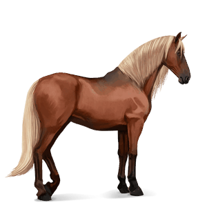 reitpferd argentinischer criollo fuchs mit heller mähne
