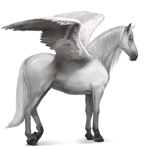 pegasus-reitpferd andalusier hellgrau