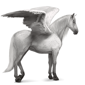 pegasus-reitpferd lusitano brauner