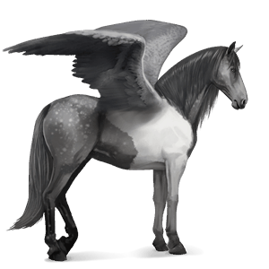pegasus-reitpferd andalusier mausgrau