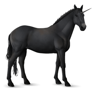 einhorn-reitpferd schabrackenbrauner