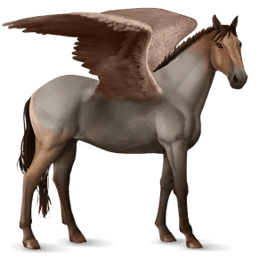 pegasus-reitpferd argentinischer criollo roan