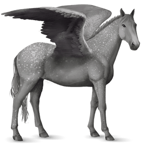 pegasus-reitpferd appaloosa schabrackenfuchs