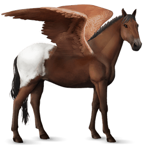 pegasus-reitpferd knabstrupper schabrackenbrauner
