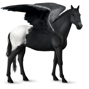 pegasus-reitpferd friese rappe