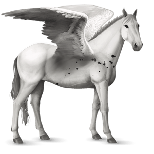 pegasus-reitpferd hackney rotbrauner