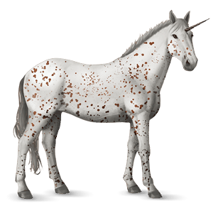 einhorn-reitpferd appaloosa fuchsfarbener leopard