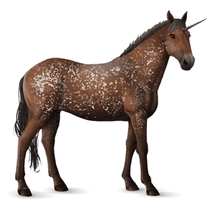 einhorn-reitpferd brumby mausgrau