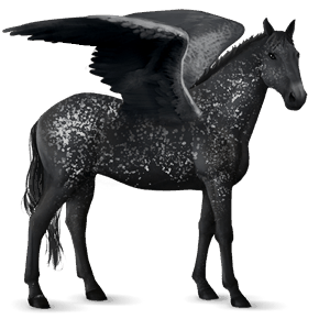 pegasus-reitpferd nokota roan