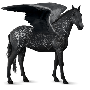 pegasus-reitpferd schwarze schneeflocke